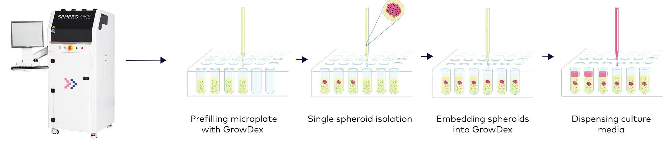 Combining GrowDex And SpheroONE For Automated And Highly Reproducible