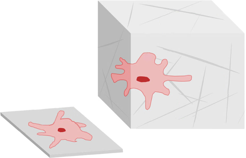 2D Vs 3D Cell Culture Learning Center UPM Biomedicals